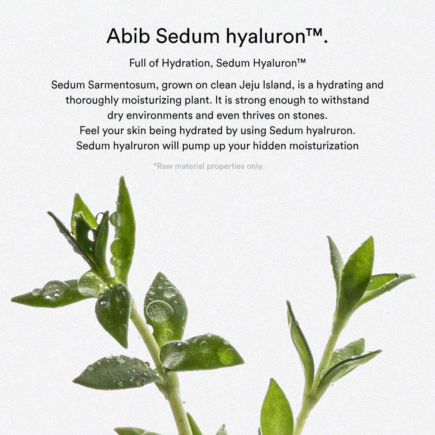 Abib Sedum Hyaluron Pad Hydrating Touch – moisturizing toner pads infused with Sedum extract and Hyaluronic Acid, designed to deeply hydrate, plump, and refresh dry skin.