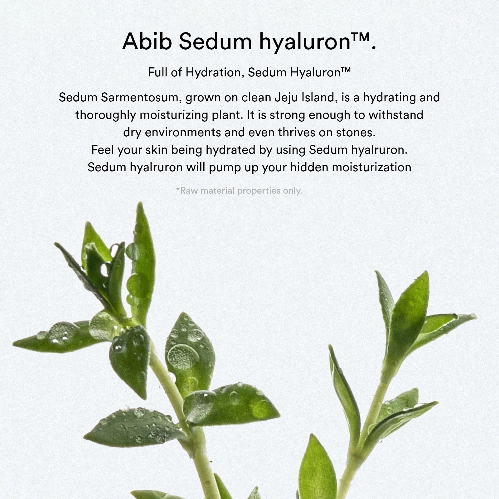 Abib Sedum Hyaluron Pad Hydrating Touch – moisturizing toner pads infused with Sedum extract and Hyaluronic Acid, designed to deeply hydrate, plump, and refresh dry skin.